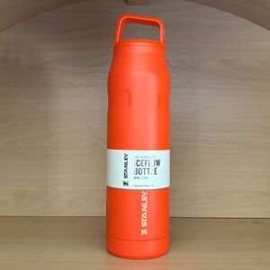 ✨$24✨NWT•Stanley•IceFlow Cap and Carry Water Bottle 36 oz | Tigerlily